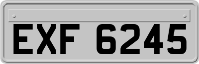 EXF6245