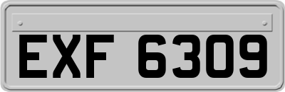 EXF6309