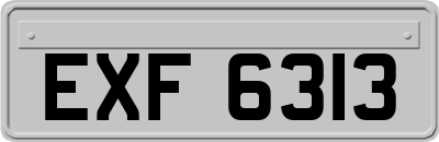 EXF6313