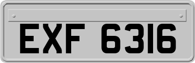 EXF6316