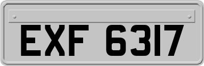 EXF6317