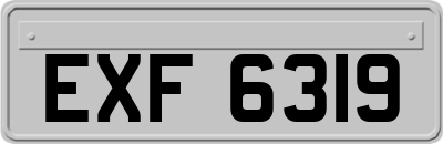 EXF6319