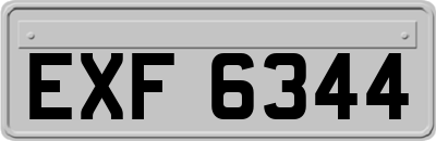 EXF6344
