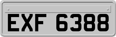 EXF6388
