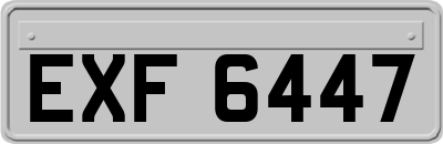 EXF6447