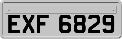 EXF6829