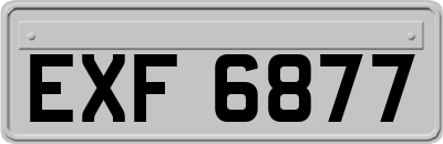 EXF6877