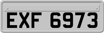EXF6973