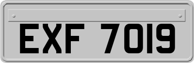 EXF7019