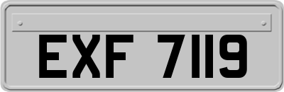EXF7119
