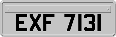 EXF7131