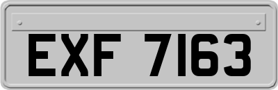 EXF7163