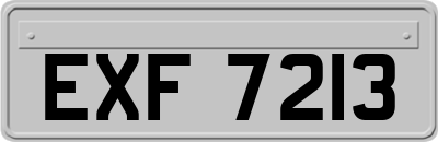 EXF7213