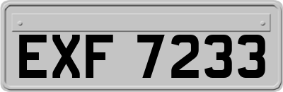 EXF7233