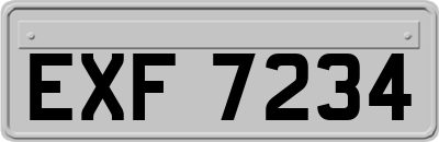 EXF7234
