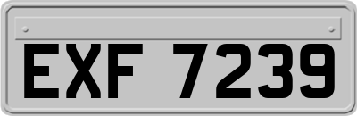 EXF7239