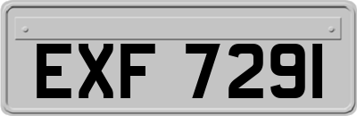 EXF7291