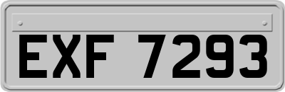 EXF7293