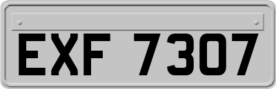 EXF7307