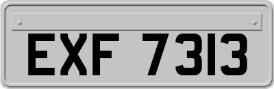 EXF7313