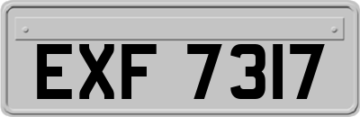 EXF7317