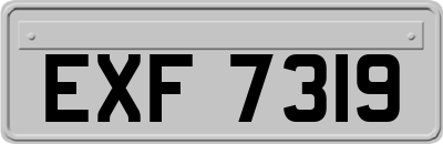 EXF7319