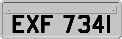 EXF7341
