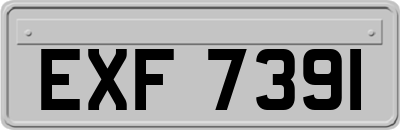 EXF7391