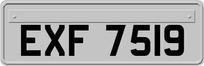 EXF7519