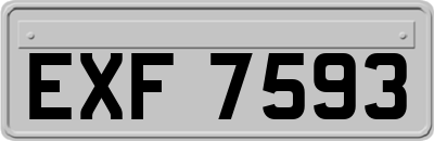 EXF7593