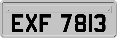 EXF7813
