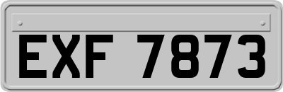 EXF7873