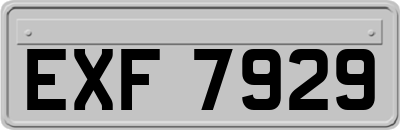 EXF7929