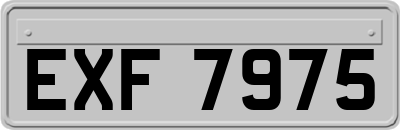 EXF7975
