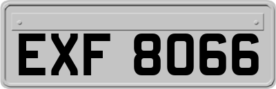 EXF8066