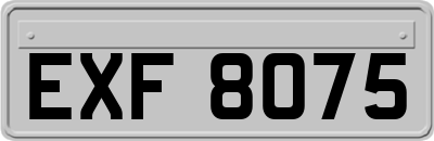 EXF8075