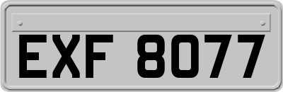 EXF8077