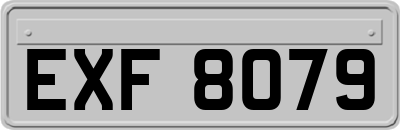 EXF8079