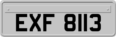 EXF8113