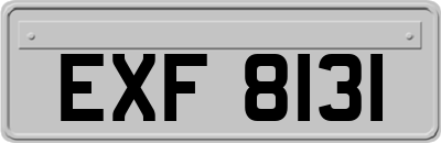 EXF8131
