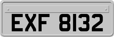 EXF8132
