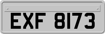 EXF8173