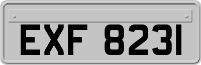 EXF8231