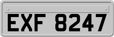 EXF8247