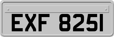 EXF8251