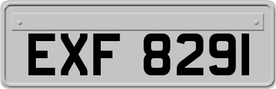 EXF8291