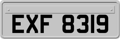 EXF8319