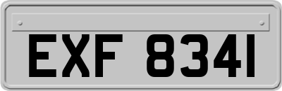 EXF8341