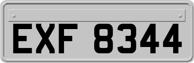 EXF8344
