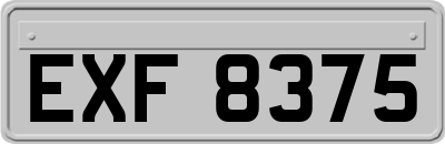 EXF8375